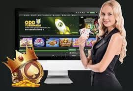 Dashboard cashback view Account dashboard showing weekly cashback eligibility and tier progression